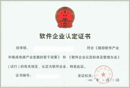 廣州軟件企業(yè)認(rèn)定 全面解讀與專業(yè)認(rèn)證咨詢服務(wù)指南