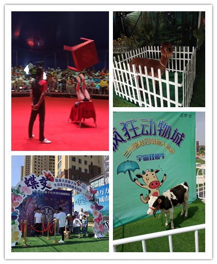 湖南衡陽(yáng)市哪有租賃馬戲團(tuán)表演的萌寵