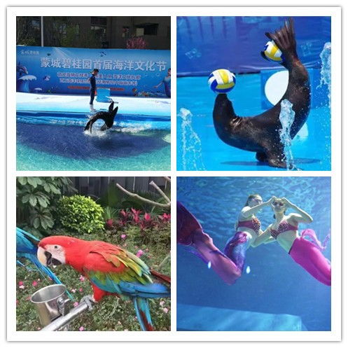 江蘇省海獅表演與冰雕展出租賃服務(wù)